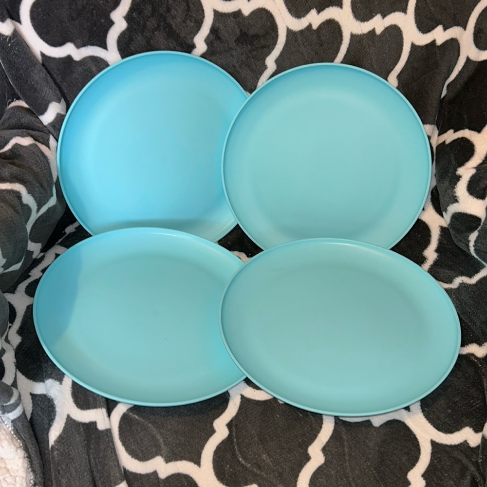 Four blue dinner plates. Mainstays. $13 for all 4